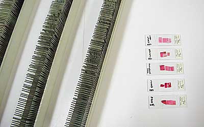 Wood tissue preparations