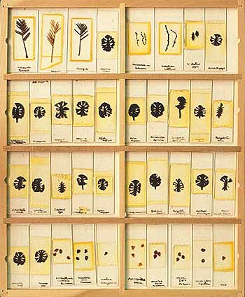 Prof. Shigeru Miki's Collection