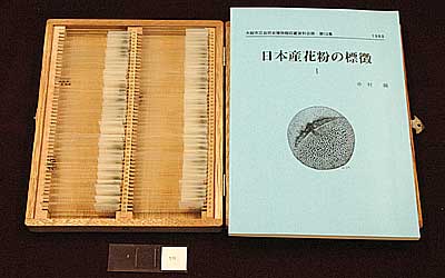 Prof. Jun nakamura's Collection