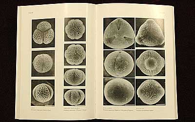 Prof. Kiichiro Kurosawa's Collection