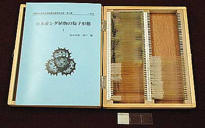 Coollection of spore of Pteridphytes 