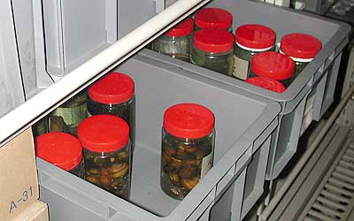 Fishes and benthic animals of the Lake Biwa and Yogo