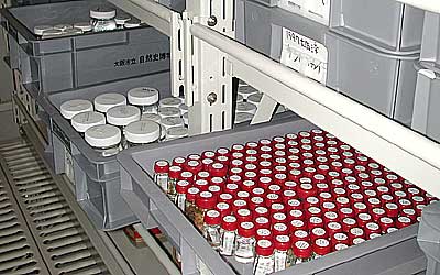 Collection of attached organisms from Osaka Bay