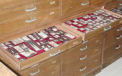 Kira's shell collection