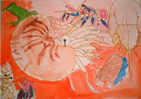 自然史アート「貝の絵」展入選作品