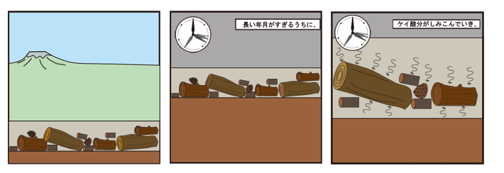 画像:長い年月がすぎるうち、けい酸分がしみこんでいき、