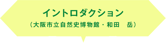 イントロダクション(大阪市立自然史博物館・和田 岳)
