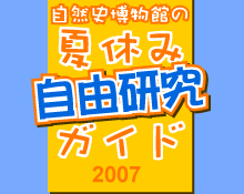 ΩʪۤβƵ٤߼ͳ楬2007