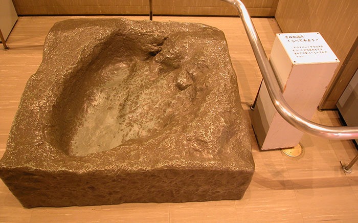 アパトサウルスの 足あと