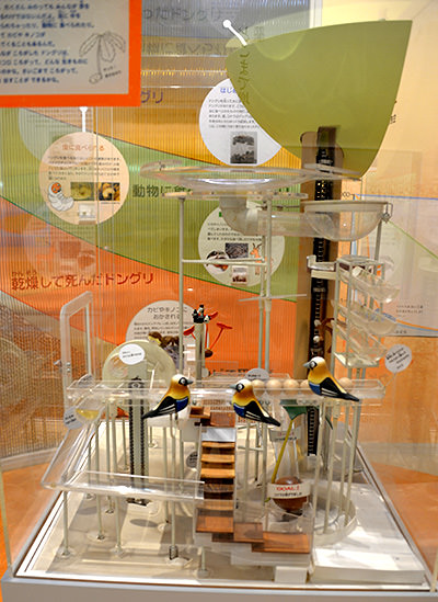 どんぐりコロコロ