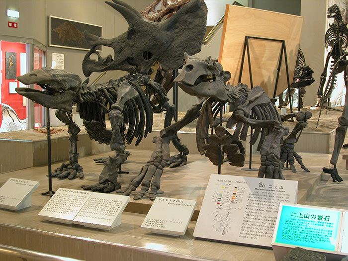 你有什麼樣的外觀呢？