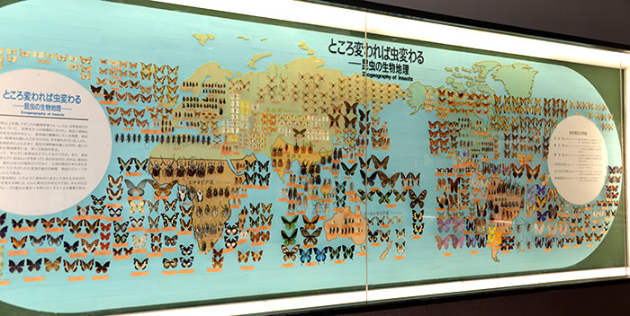 地球上充滿了蟲蟲