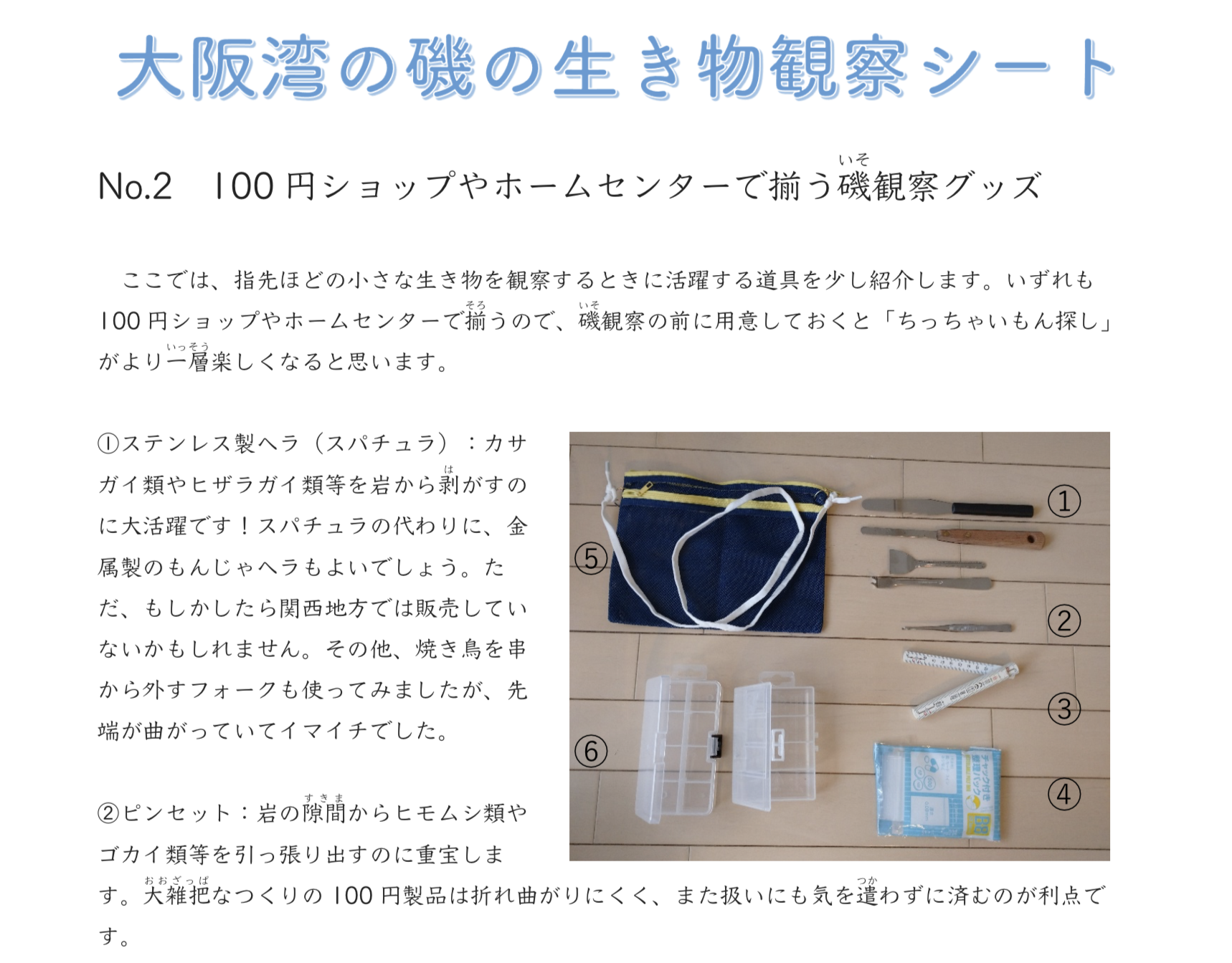 海辺のしぜん観察会資料2021