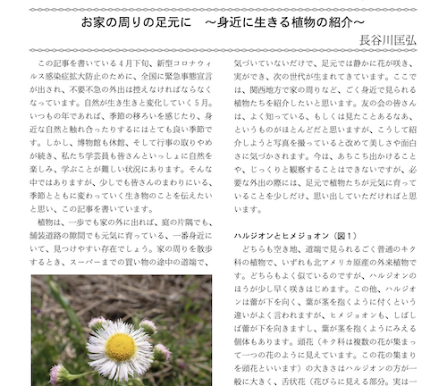 身近な植物の観察