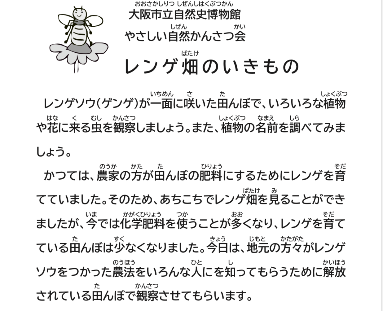 レンゲ畑の生き物観察会テキスト