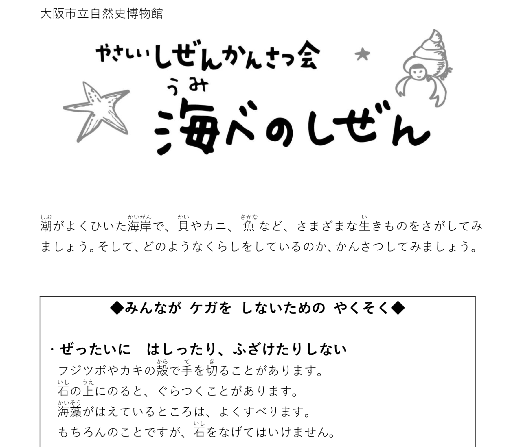 海辺のしぜん観察会資料
