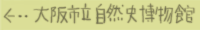 大阪市立自然史博物館ホームページへ