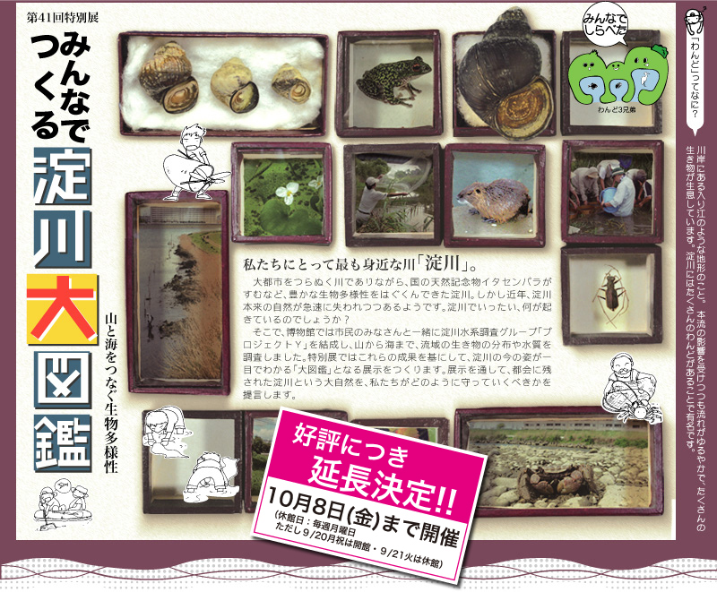 41ʓW@݂Ȃł闄}Ӂ@RƊCȂl