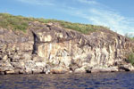 画像:アカスタ片麻岩の露頭