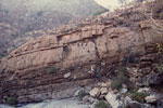 画像:ダイアミクタイトと層状炭酸塩岩