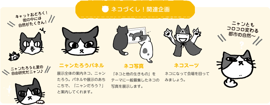 ネコづくし！関連企画：ニャンたろうパネル 展示全体の案内ネコ、ニャンたろう。パネルや展示のあちこちで、「ニャンだろう？」と案内してくれます。　ネコ写真 「ネコと他の生きもの」を
テーマに一般募集したネコの写真を展示します。　ネコスーツ ネコになって会場を回ってみましょう。