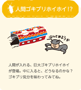 人間ゴキブリホイホイ！？：人間が入れる、巨大ゴキブリホイホイが登場。中に入ると、どうなるのかな？ゴキブリ気分を味わってみてね。