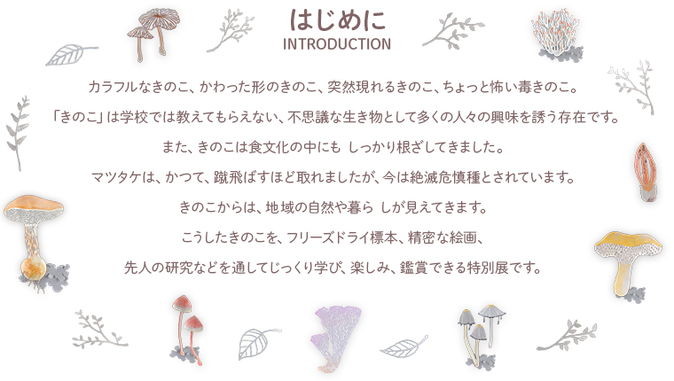 はじめに　introduction