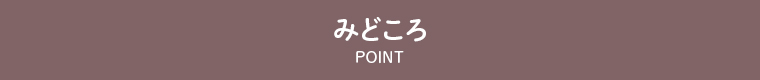 みどころ　point