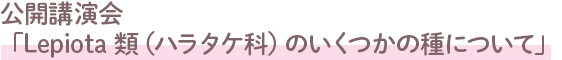 公開講演会「Lepiota 類（ハラタケ科）のいくつかの種について」