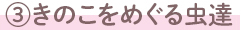 ③きのこをめぐる虫達
