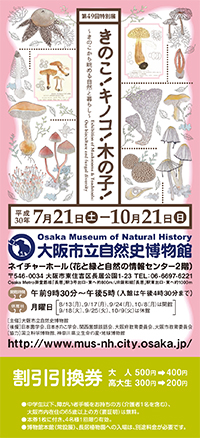 ticket 割引チケット