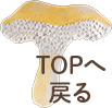 ＴＯＰへ戻る