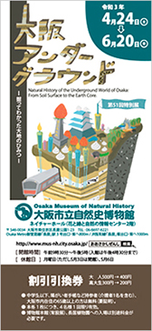 割引チケット写真