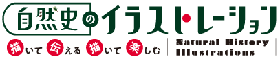 自然史のイラストレーション ～描いて伝える・描いて楽しむ～