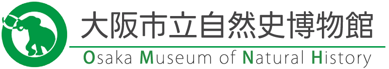 大阪市立自然史博物館